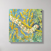 Cucullia Absinthii Wormwood Raupe Leinwanddruck (Vorderseite)