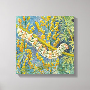 Cucullia Absinthii Wormwood Raupe Leinwanddruck