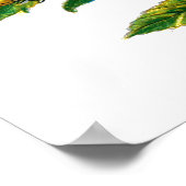 Cucullia verbasci Raupe Poster (Ecke)