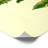 Cucullia verbasci Raupe Poster (Ecke)