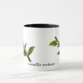 Cucullia verbasci Raupe Tasse (Zentrum)