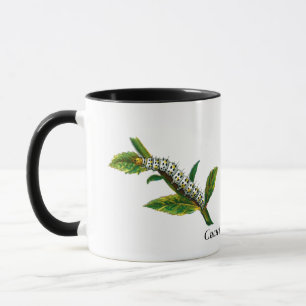 Cucullia verbasci Raupe Tasse