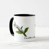 Cucullia verbasci Raupe Tasse (Vorderseite Links)
