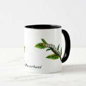 Cucullia verbasci Raupe Tasse (VorderseiteRechts)