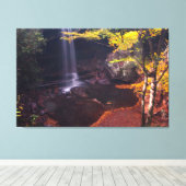 Cucumber Falls, Ohiopyle Staat Park, Pennsylvania Leinwanddruck (Insitu (Holzboden))