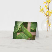 Cucumber Notecard Karte (Gelbe Blume)