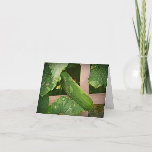 Cucumber Notecard Karte (Vorderseite)