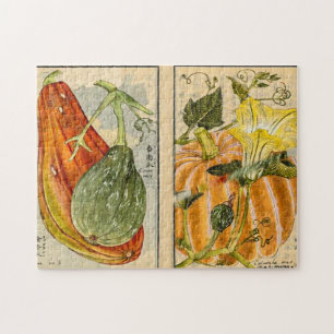 Cucurbita pepo - Seikei Zusetsu Puzzle