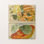 Cucurbita pepo - Seikei Zusetsu Puzzle (Vertikal)