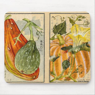 Cucurbita Pepo - Vintage Kunst von Seikei Zusetsu Mousepad