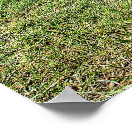 Cuda 340 poster (Ecke)