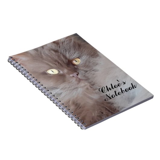 Cudded Cat Spiral Notebook Notizblock (Rechte Seite)