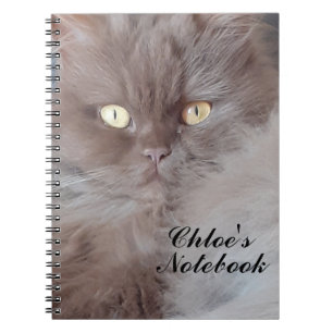 Cudded Cat Spiral Notebook Notizblock