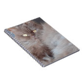 Cudded Cat Spiral Notebook Notizblock (Rechte Seite)