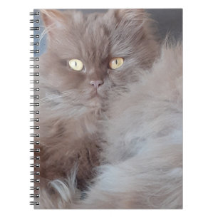 Cudded Cat Spiral Notebook Notizblock