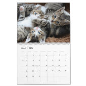 Cudded Niedlich Kitten Pet Kitty Cats Feline 2020 Kalender (Mär 2026)