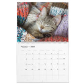 Cudded Niedlich Kitten Pet Kitty Cats Feline 2020 Kalender (Feb 2026)