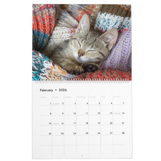 Cudded Niedlich Kitten Pet Kitty Cats Feline 2020 Kalender (Feb 2026)