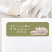 Cuddle Kätzchen (Insitu)