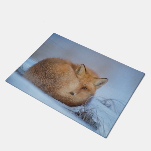 Cuddled Fox Doormat Fußmatte (Schrägansicht)