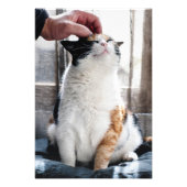 Cuddles Fotodruck (Vorne)