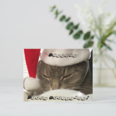 Cuddles, Frohe Weihnachten! Postkarten (Stehend Vorderseite)