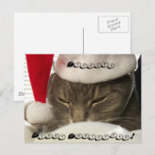 Cuddles, Frohe Weihnachten! Postkarten (Vorne/Hinten)