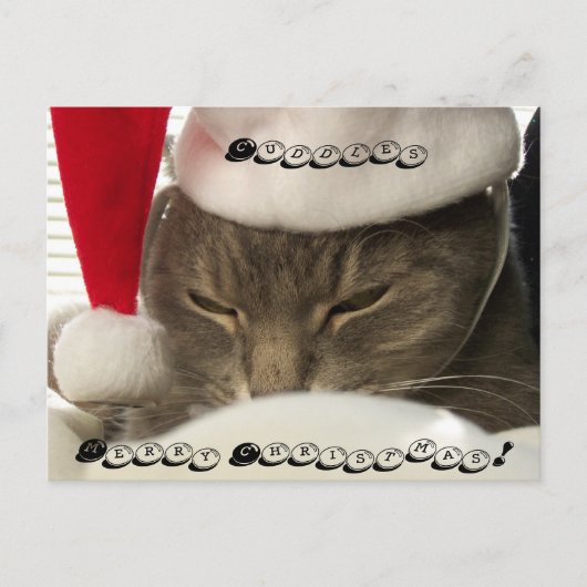 Cuddles, Frohe Weihnachten! Postkarten (Vorderseite)