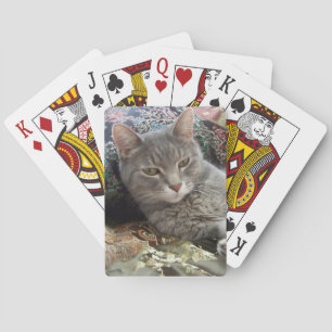 Cuddles Gray Cat Playing Cards Spielkarten
