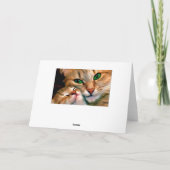 Cuddles. Karte (Rückseite)