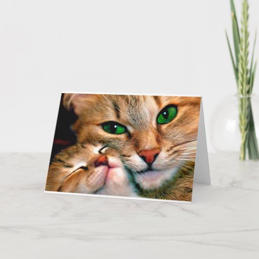 Cuddles. Karte (Vorderseite)