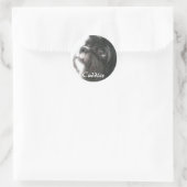 Cuddles Sticker (Tasche)