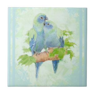 Cuddling Blue Parrot Bird Arena Fliese