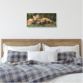 Cuddling Fox Kits Leinwanddruck (Insitu (Schlafzimmer))