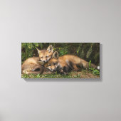 Cuddling Fox Kits Leinwanddruck (Vorderseite)