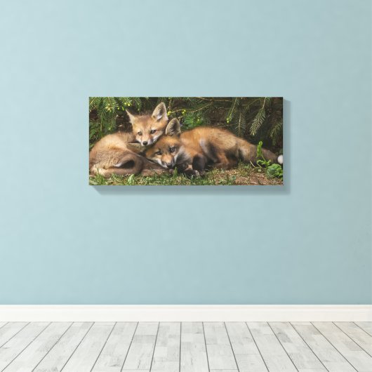 Cuddling Fox Kits Leinwanddruck (Insitu (Holzboden))
