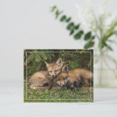 Cuddling Fox Kits Postkarte (Stehend Vorderseite)