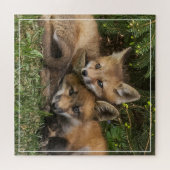 Cuddling Fox Kits Puzzle (Horizontal)