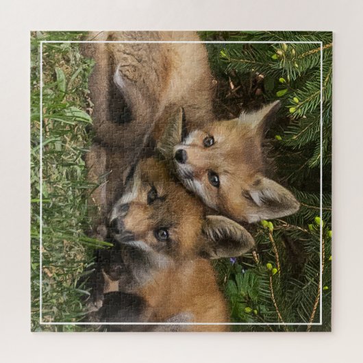 Cuddling Fox Kits Puzzle (Horizontal)
