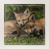 Cuddling Fox Kits Puzzle (Vertikal)