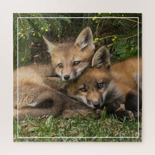 Cuddling Fox Kits Puzzle (Vertikal)