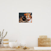 Cuddling Kittens Calico und Tan Poster (Küche)