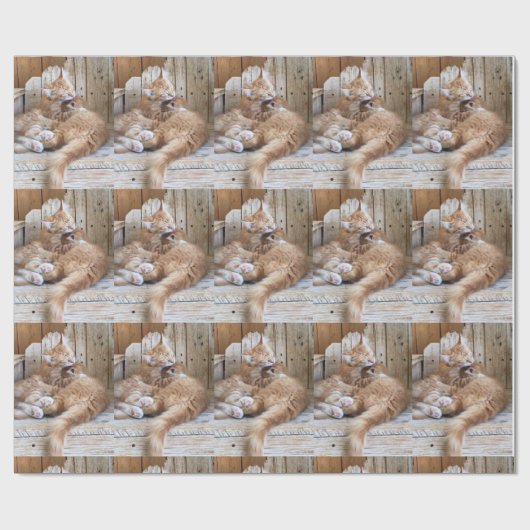 Cuddling Kittens Geschenkpapier (Flach)