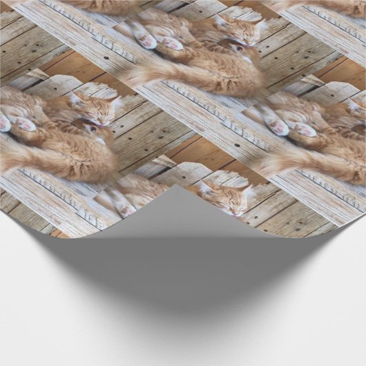 Cuddling Kittens Geschenkpapier (Ecke)