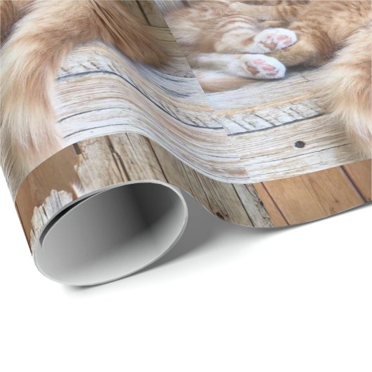 Cuddling Kittens Geschenkpapier (Rolleneckpunkt)