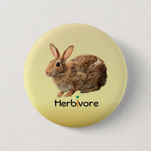 Cuddly veganer Herbivore-wildes Häschen-Gelb Button