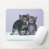 Cuddykätzchen! Mousepad (Mit Mouse)