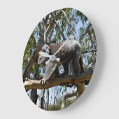 Cudly Big Male Australian Koala, Große Wanduhr (Winkel)