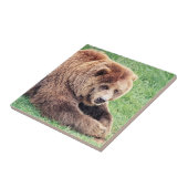 Cudly Brown Bären Fotografie Fliese (Seite)