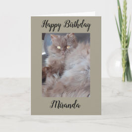 Cudly Cat Birthday Card Karte